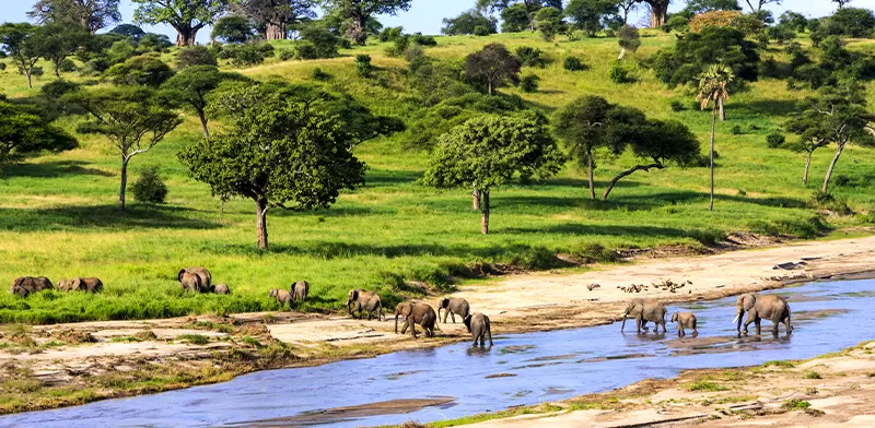 Serengeti_