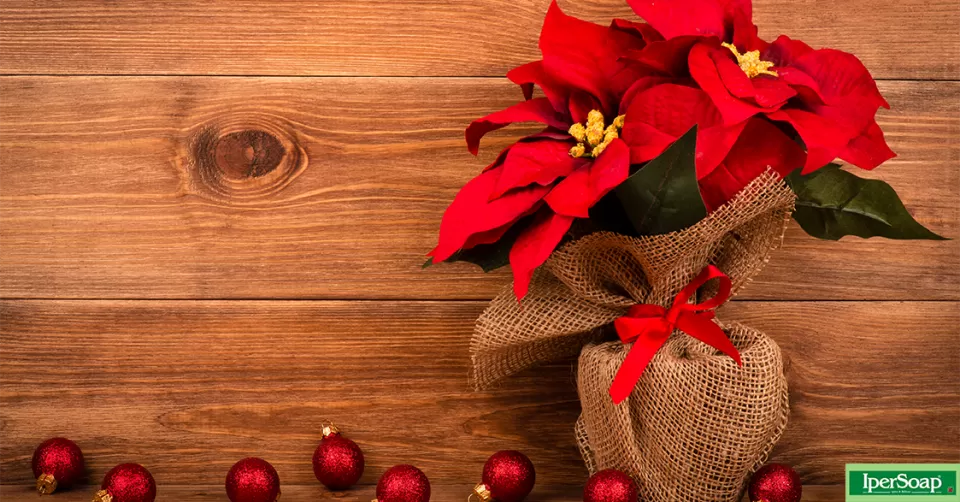 stella-di-natale_cover