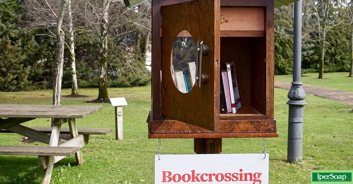 bookcrossing_cover