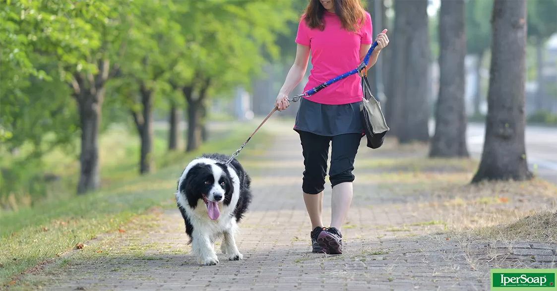 A spasso con Fido: i benefici della passeggiata