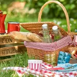 picnic_cover