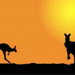 Il canguro: marsupiale australiano famoso in tutto il mondo