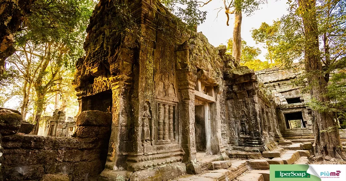Alla scoperta del tempio di Ta Prohm in Cambogia