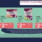 concorso_lines